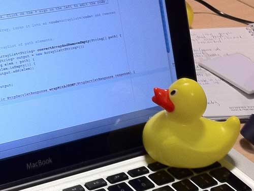 Rubber_duck_assisting_with_